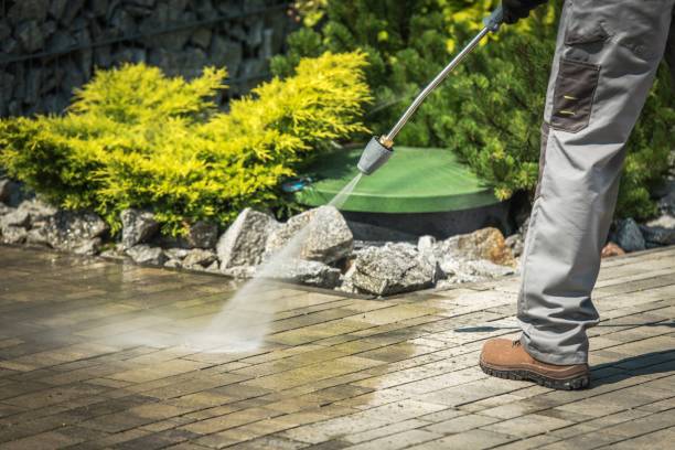 Best Residential House Exterior Washing  in Haleiwa, HI